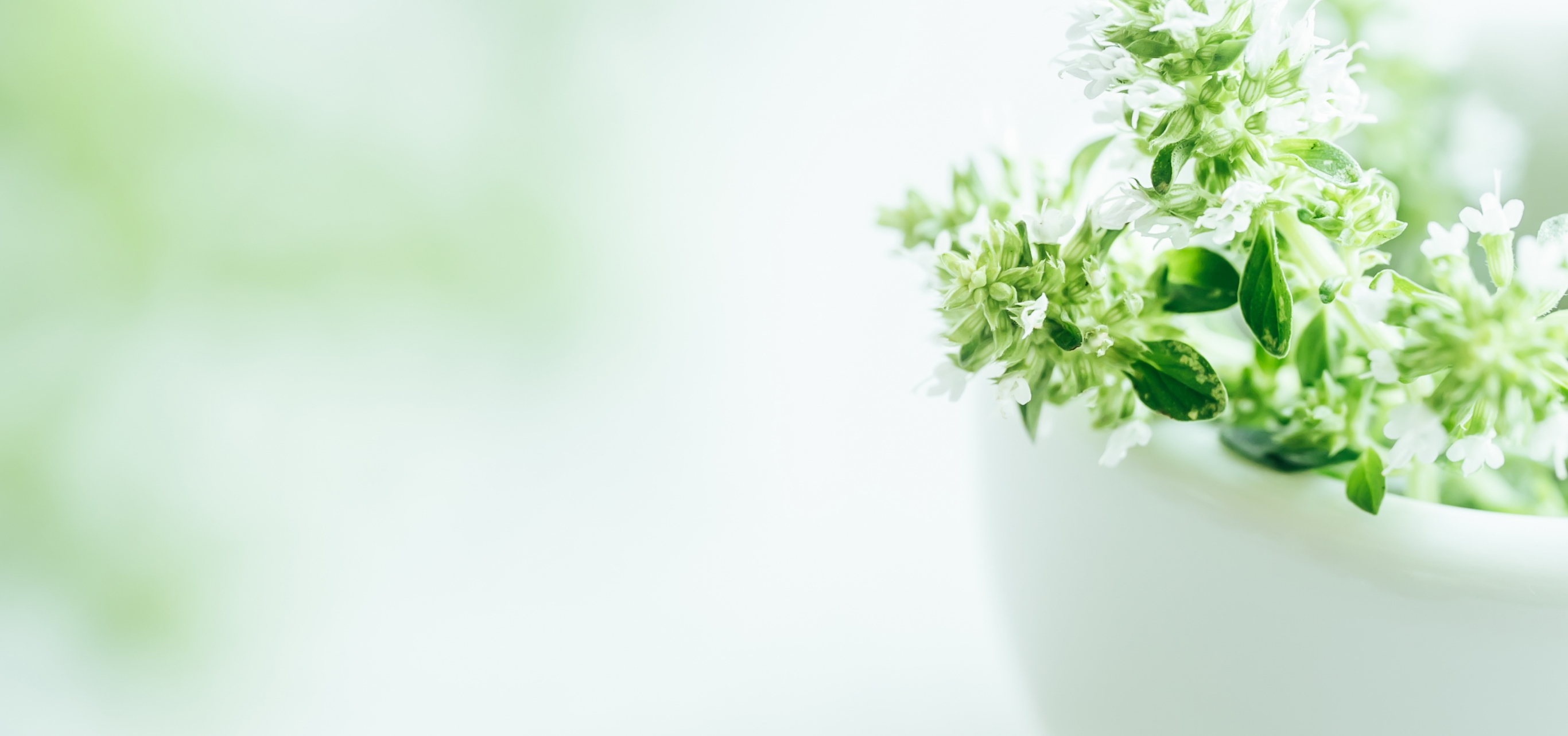 ブラン皮膚科クリニック名古屋名駅院